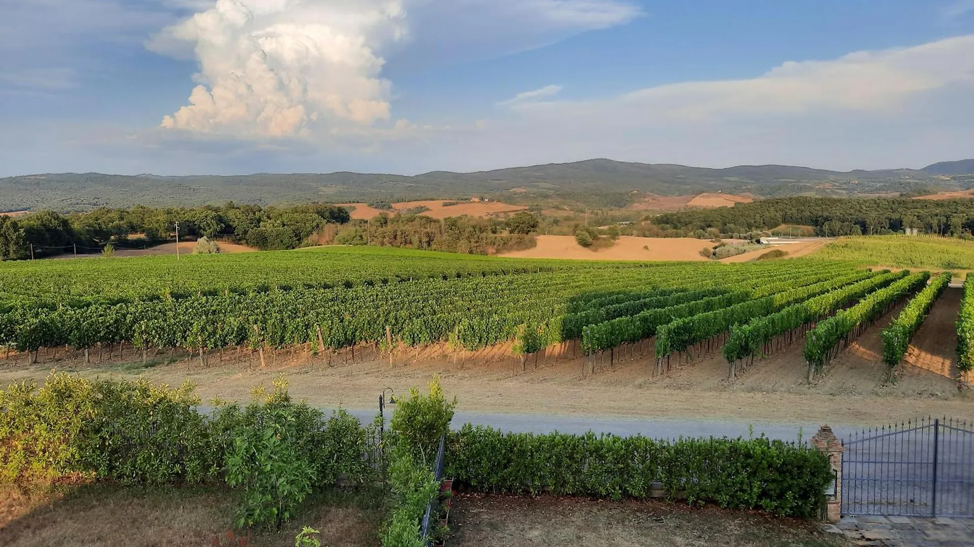 Bercos Chianti Style Daire Siena İtalya